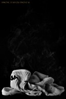 /album/still-life/che-puzza-jpg/